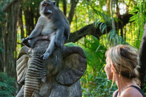 ubud-day-tour