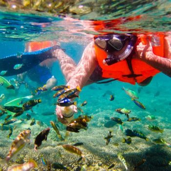 Blue Lagoon Snorkeling Is The Latest Experience Watersport Packages