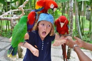 bali bird park